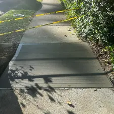 Plants growing on sidewalks in NYC