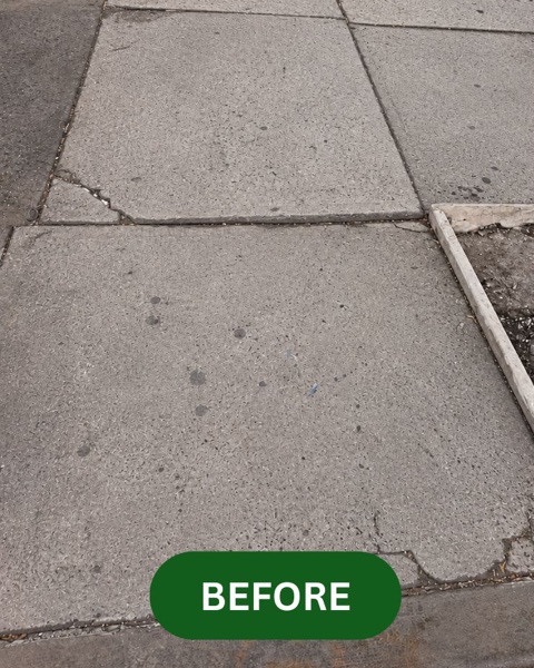 Cracked and uneven sidewalk flags outside 669 Flatbush Ave in Prospect Lefferts Gardens before repair