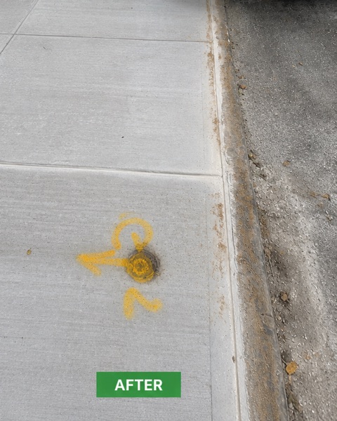 New concrete sidewalk slabs outside 225 Park Pl in Prospect Heights, Brooklyn, after repair