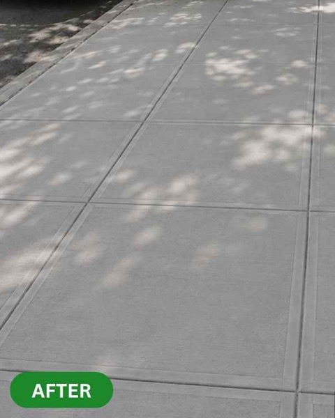 Level, newly poured concrete sidewalk in Brooklyn after the root-damaged slabs were replaced