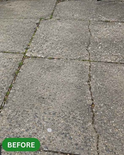 Cracked sidewalk slabs heaved out of plane by tree roots in Brooklyn before repair
