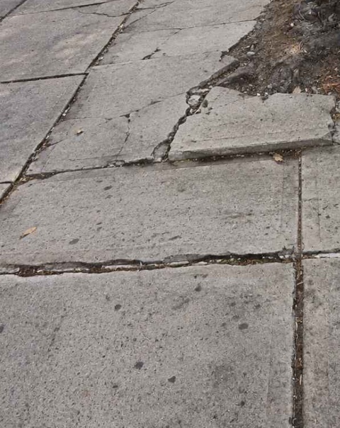 Cracked and displaced sidewalk slabs around the street tree at 622 Vanderbilt Ave in Prospect Heights, Brooklyn, before replacement
