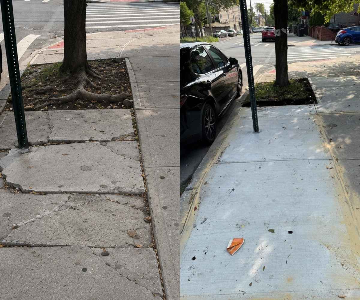 Before and after view of tree-root-damaged sidewalk slabs replaced with new concrete at 117 MacDonough St, Brooklyn.