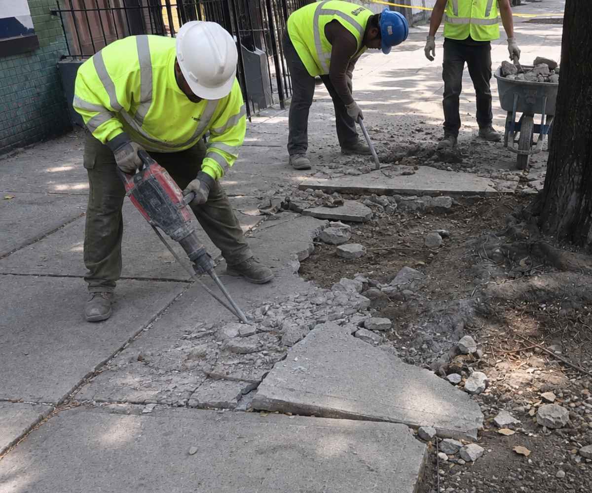 Sidewalk repair crew removing cracked concrete around a street tree before replacement in Prospect Heights, Brooklyn.
