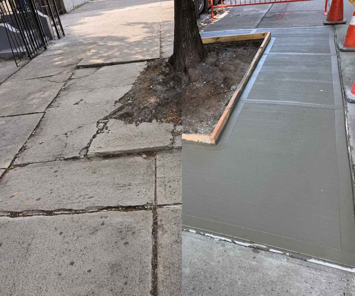 Before and after view showing a tree-root-damaged sidewalk and newly installed concrete sidewalk in Prospect Heights, Brooklyn.