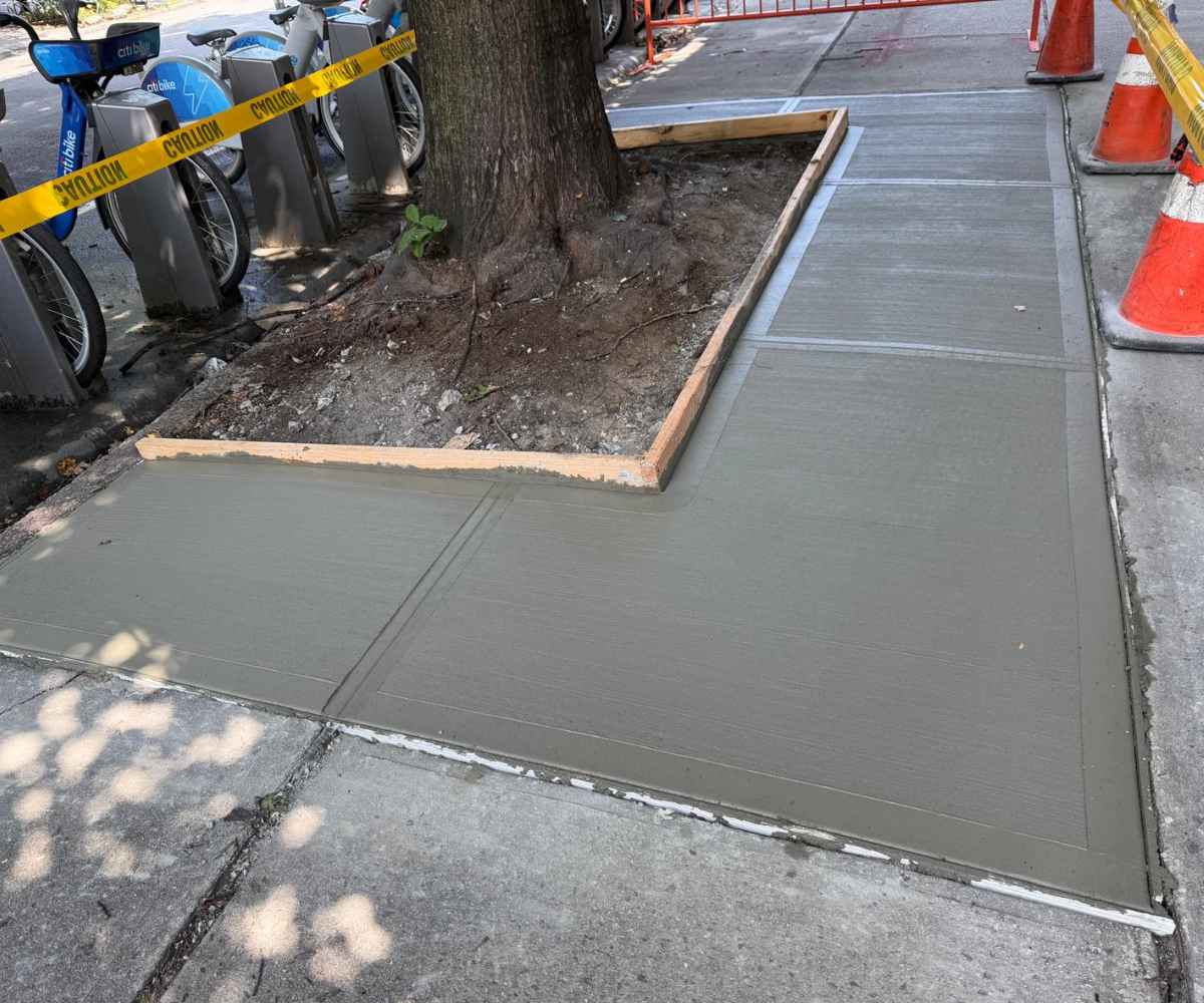 Newly replaced concrete sidewalk around a mature street tree at 622 Vanderbilt Ave in Prospect Heights, Brooklyn.