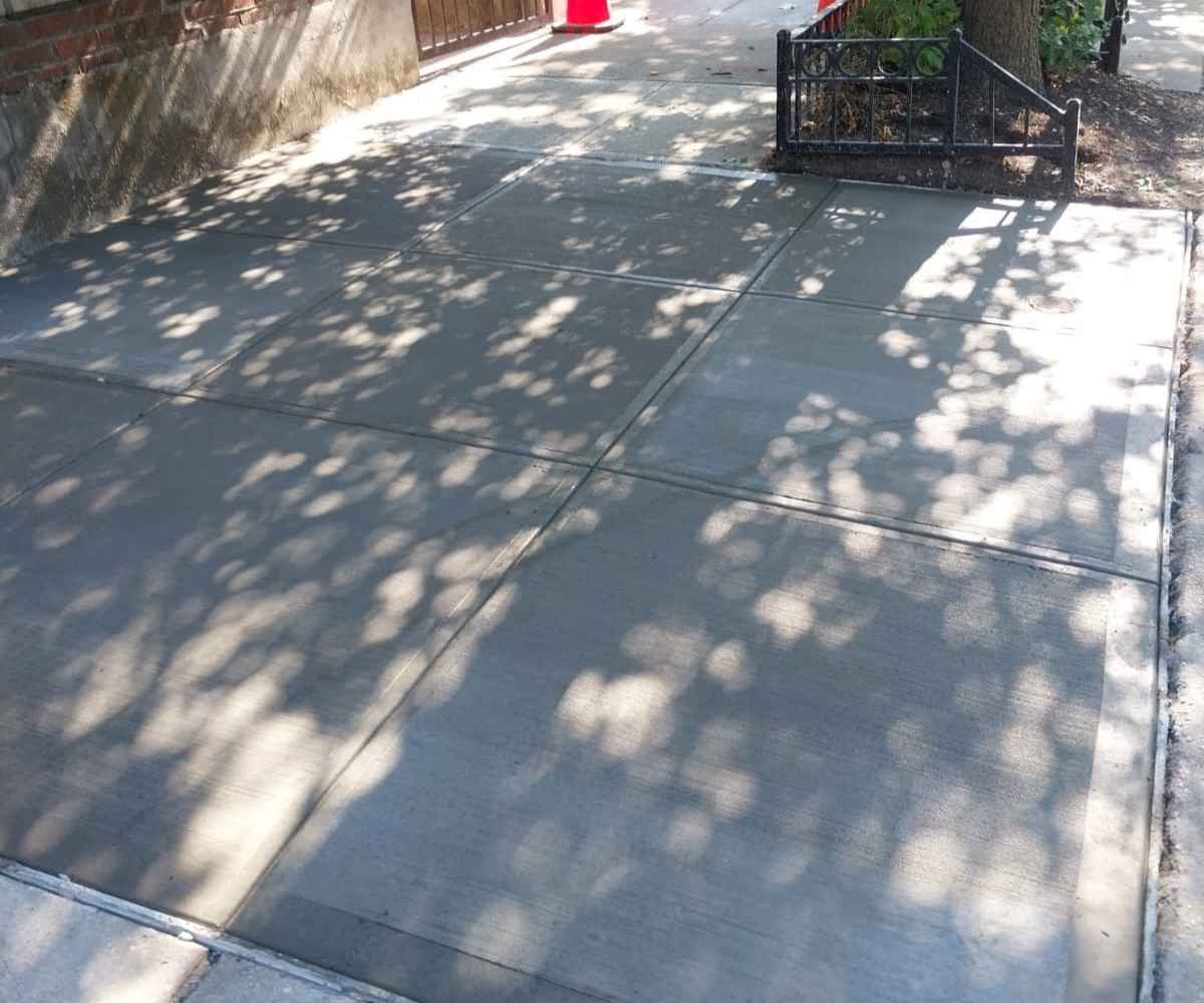 Newly poured concrete sidewalk panels beside the street tree pit after the root-damaged slabs were replaced